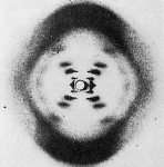 La doble hélice del DNA La doble hélice del DNA