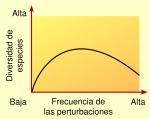 Hipótesis de la perturbación intermedia