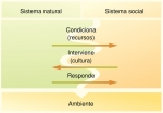 El medio ambiente como resultado de las interacciones entre los sistemas naturales y los sociales